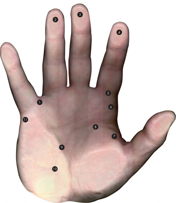 HS_hand-590x681